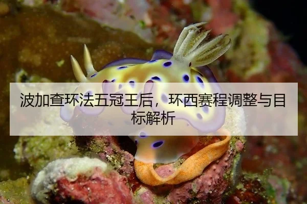 波加查环法五冠王后，环西赛程调整与目标解析