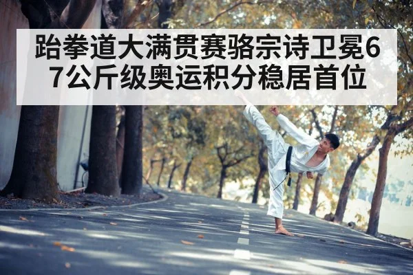 taekwondo kick action